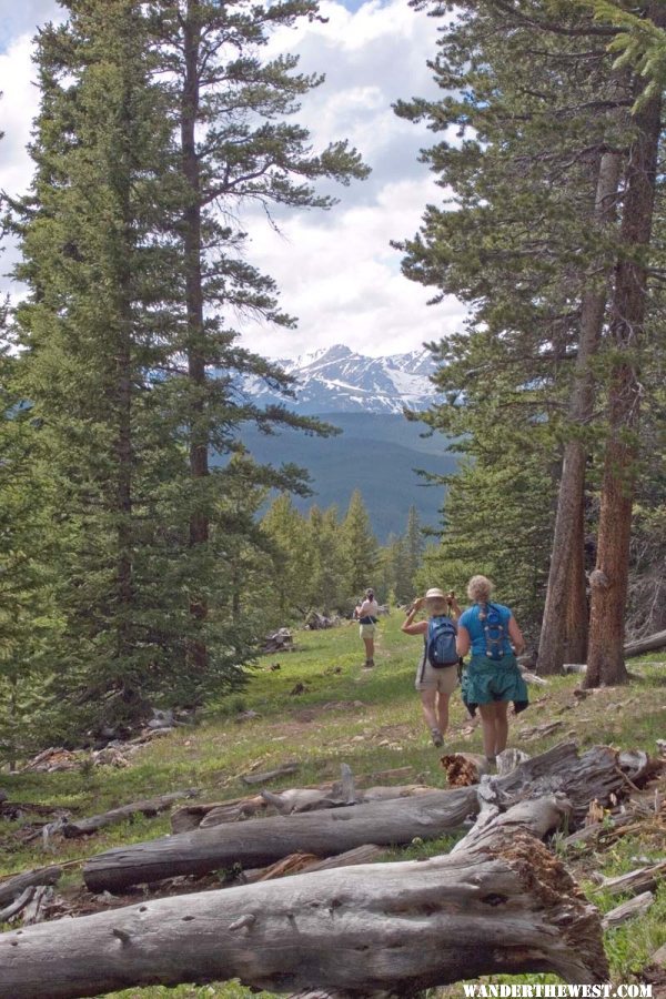 Trail near Vance's Cabin