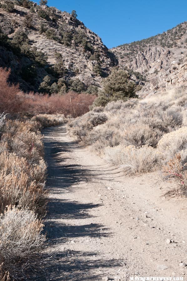 Up Ophir Creek