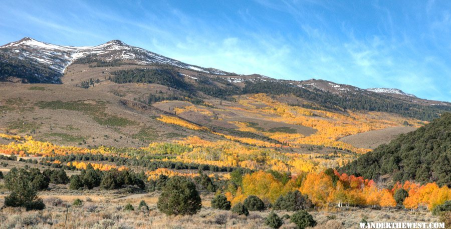 Upper Summers Meadows Fall Glory