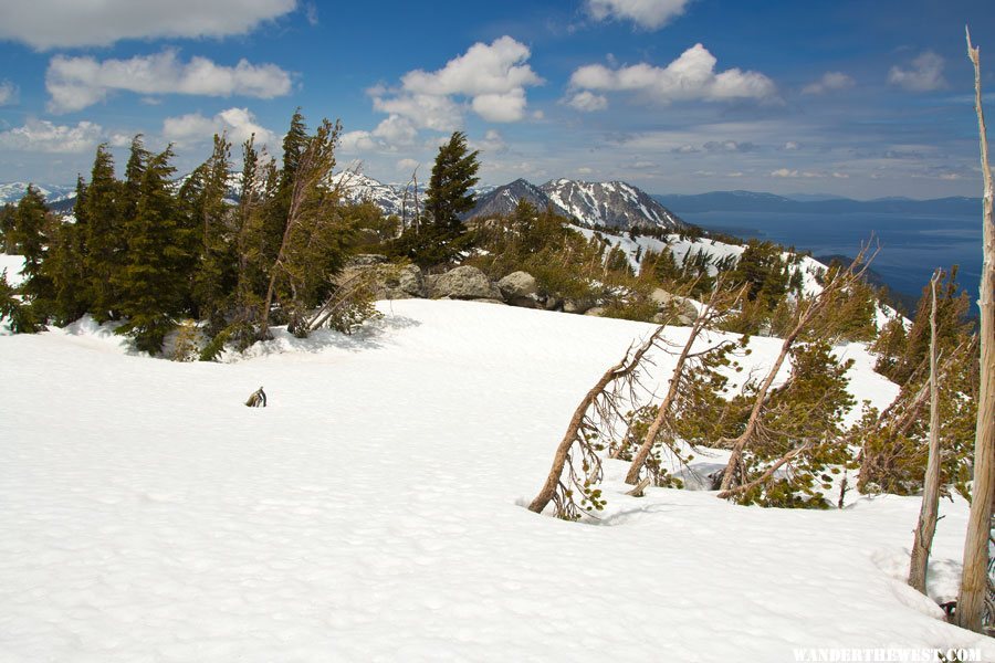 View North Up The Crest