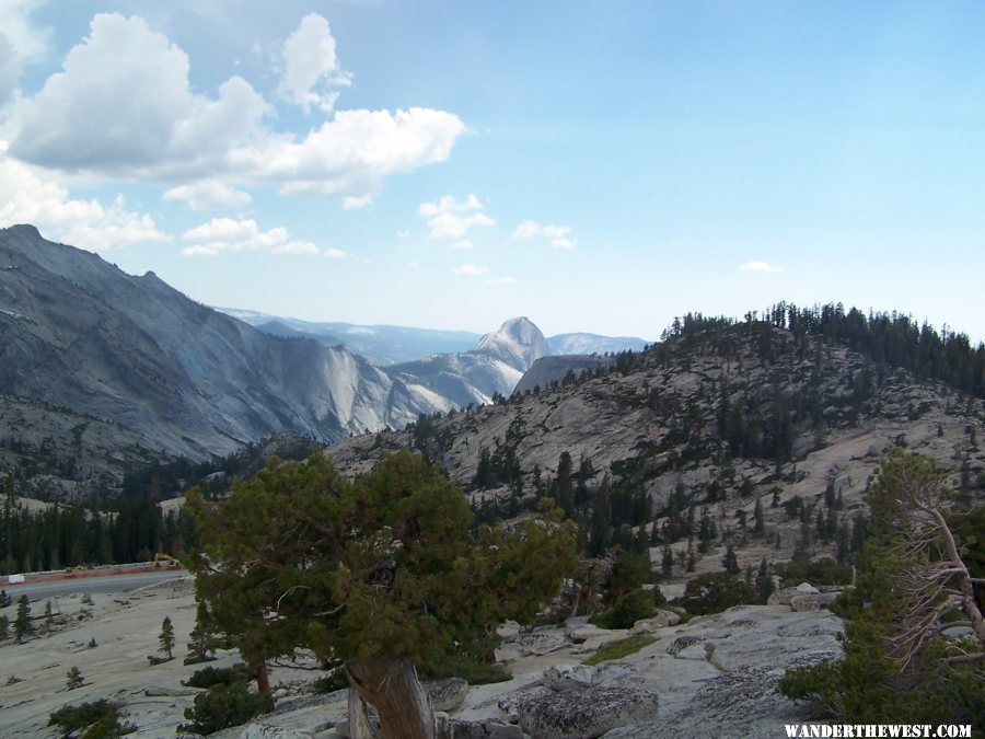 View of Half Dome from Olmstead Point