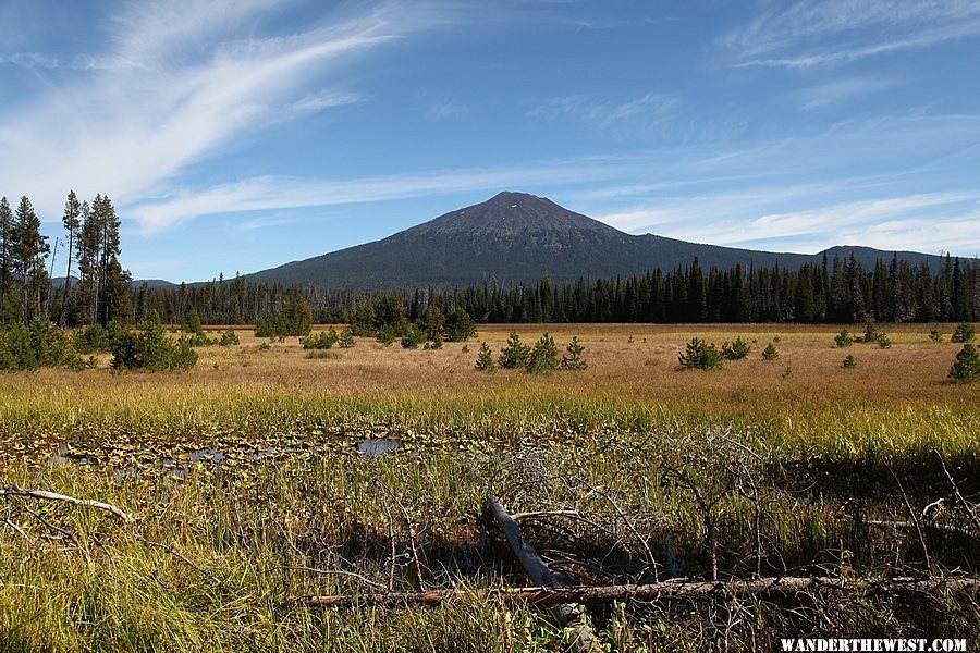 View of Mount Bachelor from Mallard Marsh Campground