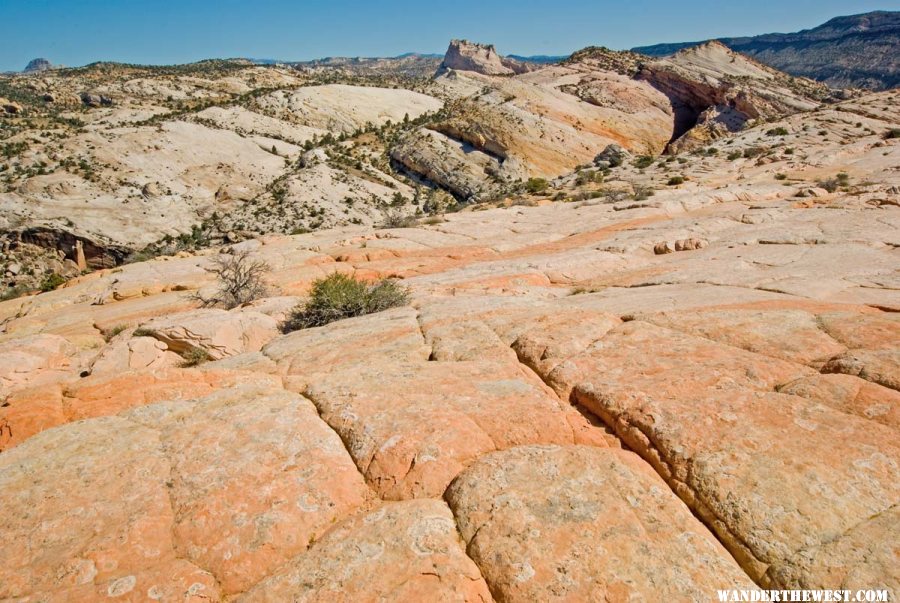 View West from Summit of Yellow Rock