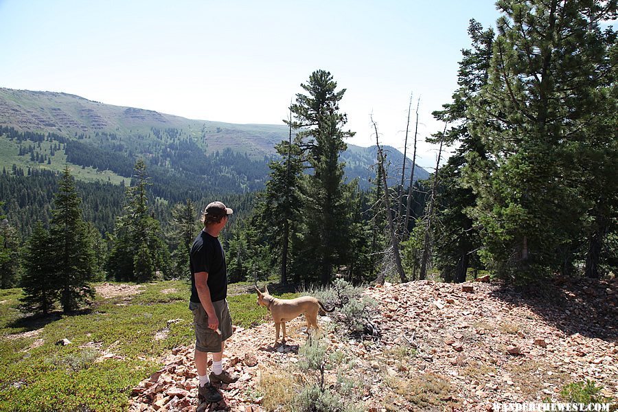 Views on the Highgrade trail