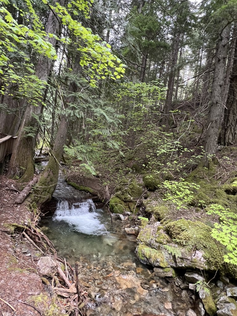 Washington: Happy Flats nature trail