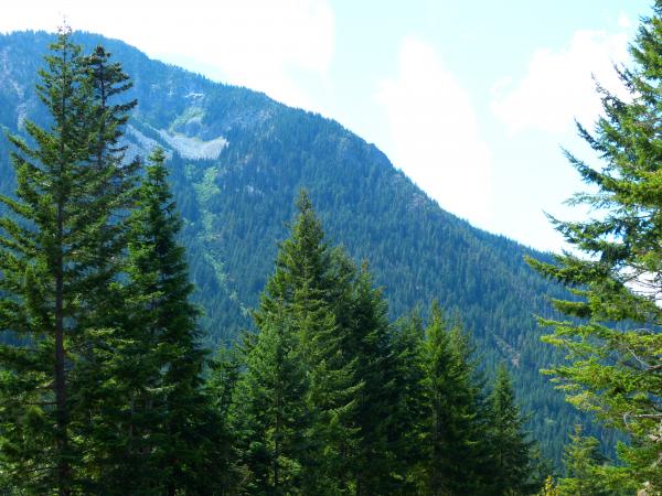 Wenatchee National Forest