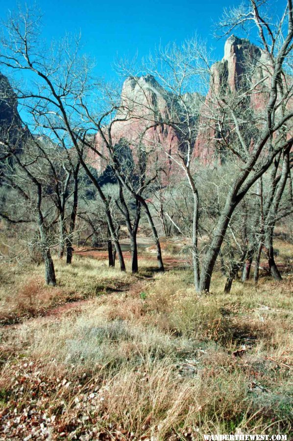 West Rim Trail--near the Grotto