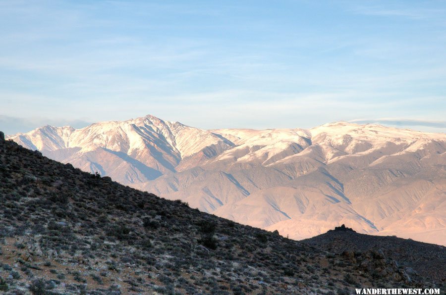 Whites from Buttermilks