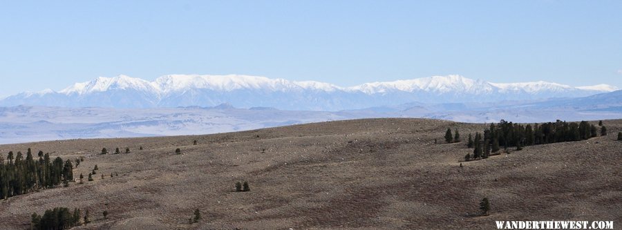 Whites from Dunderberg Road