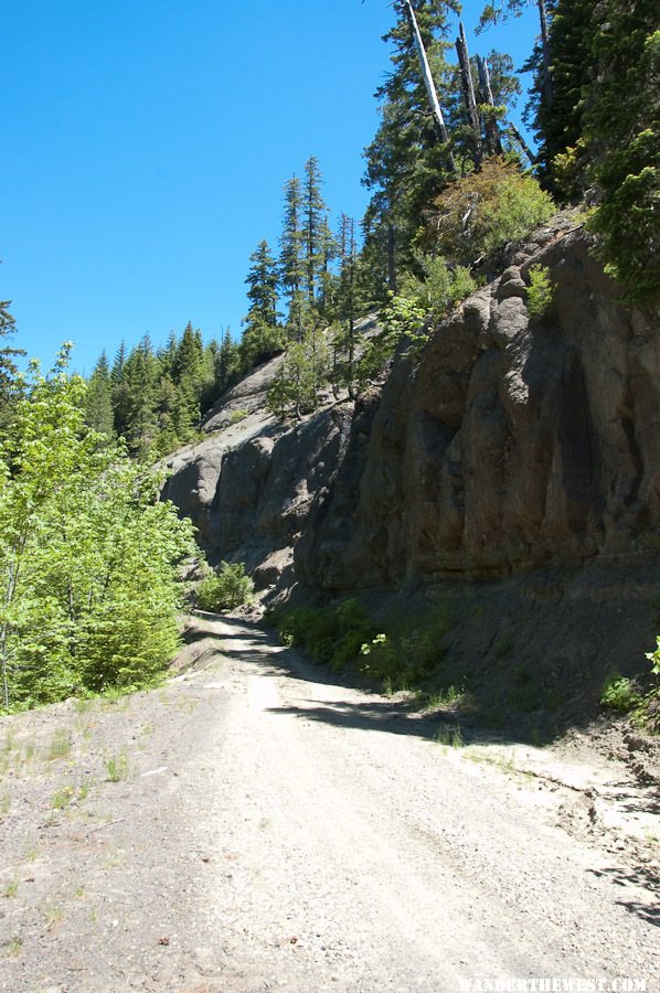 Windy Road - Umpqua National Forest