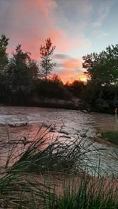 Zion River next to our pad at Zion RV Resort, UT